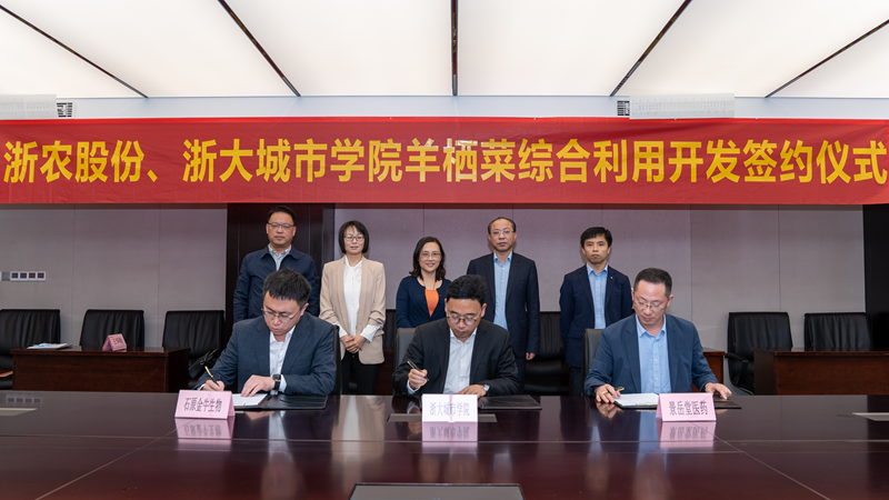 浙農(nóng)股份、浙大城市學院羊棲菜綜合利用開發(fā)項目成功簽約